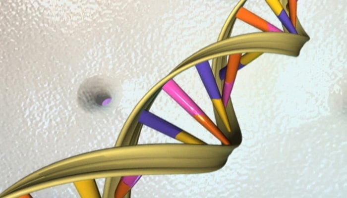 Pakistani girl cured of thalassemia in China