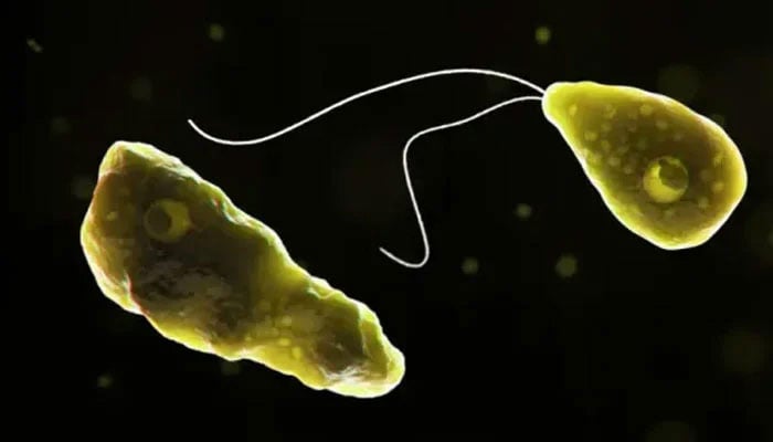 Naegleria claims another life in Karachi, death toll reaches four
