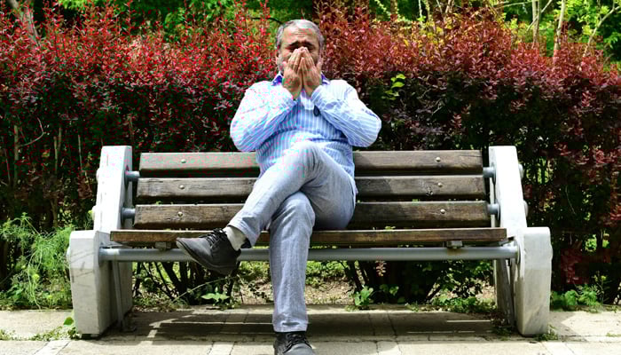 New pollen-blocking ‘molecular shield’ could revolutionise hay fever treatment