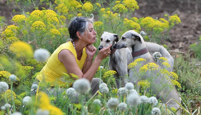 Tunisian dog lovers push to save age-old desert hound