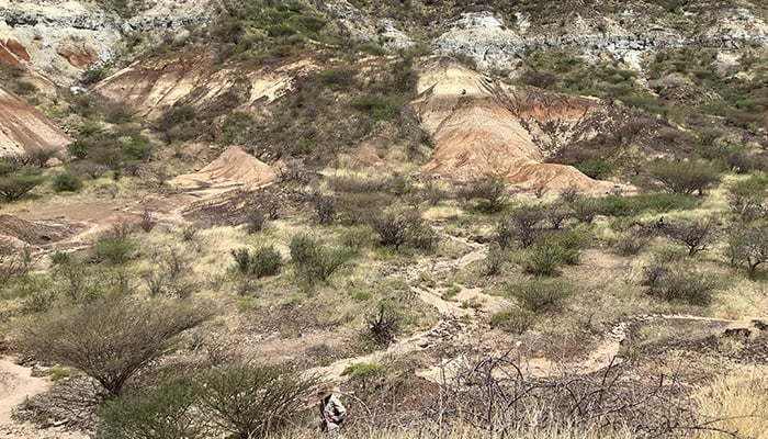 Fossils were from Canadian Arctic and Kenyan rift valley