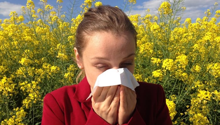 Researchers develop new ‘nasal molecular shield’ to relieve hay fever