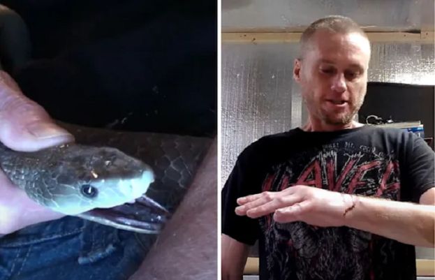 Man bitten 200 times sparks new antivenom hope