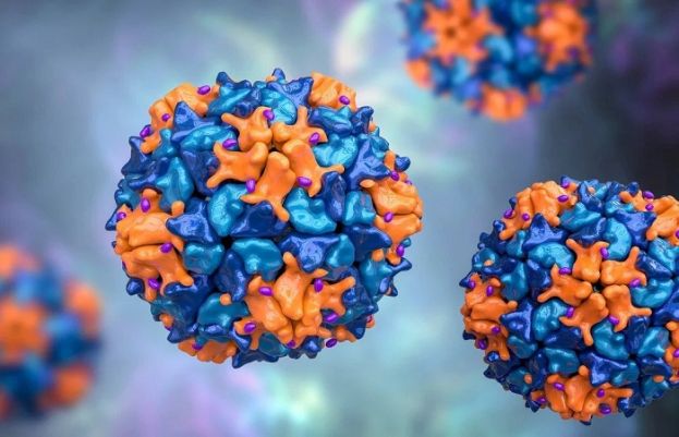 Polio detected in samples collected from 20 districts