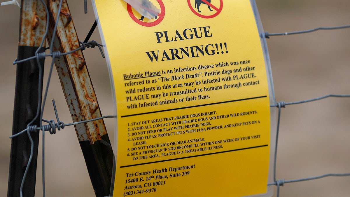 Rare pneumonic plague claims Arizonan’s life, first local case since 2007
